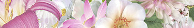 Mold Flores Бордюр 5х50